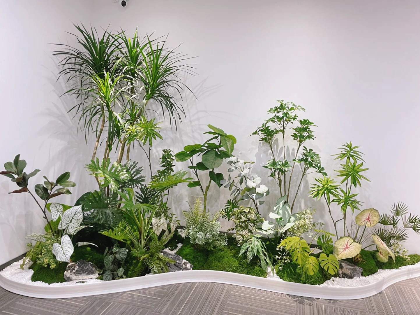 优质植物出租在镇海,服务贴心,快来看看!